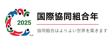国際共同組合年バナー